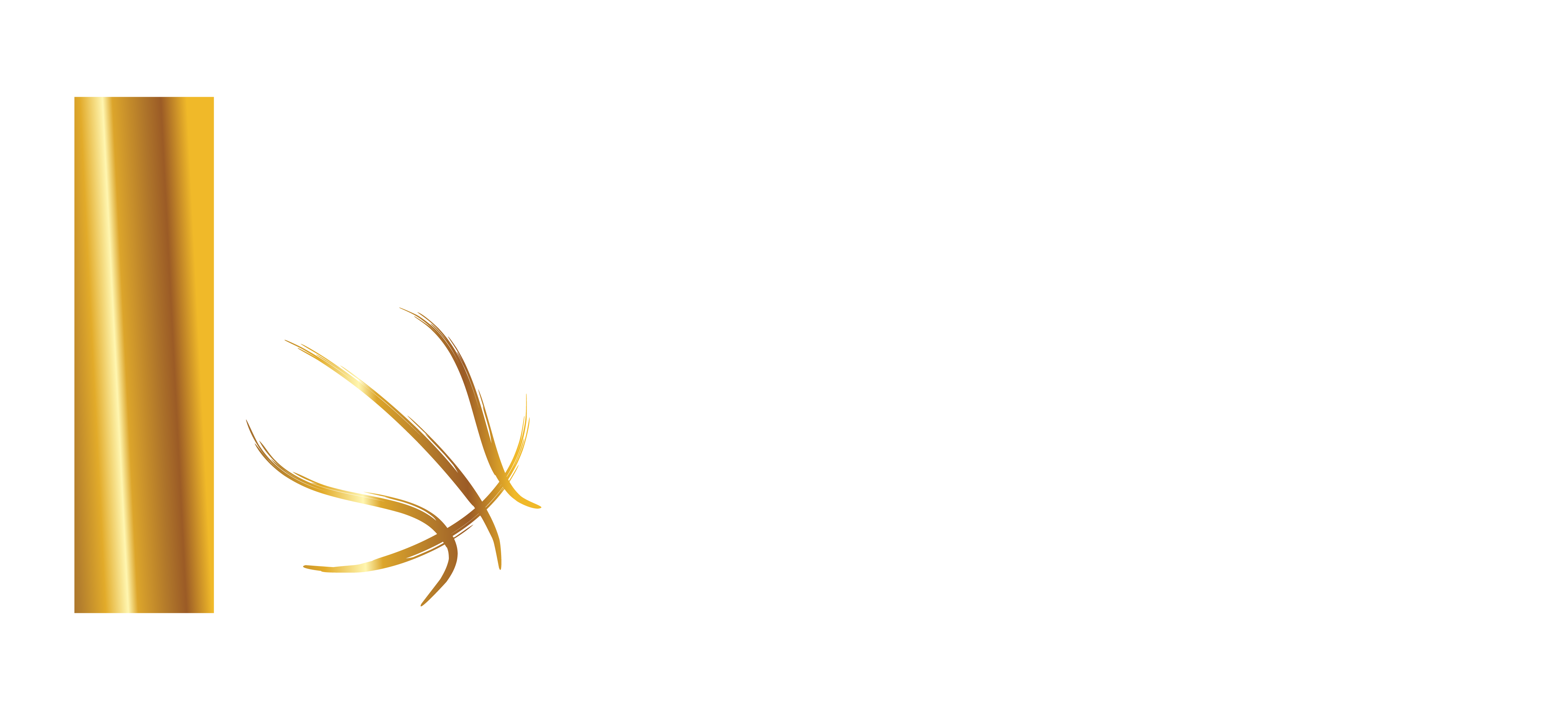 Basket Elite
